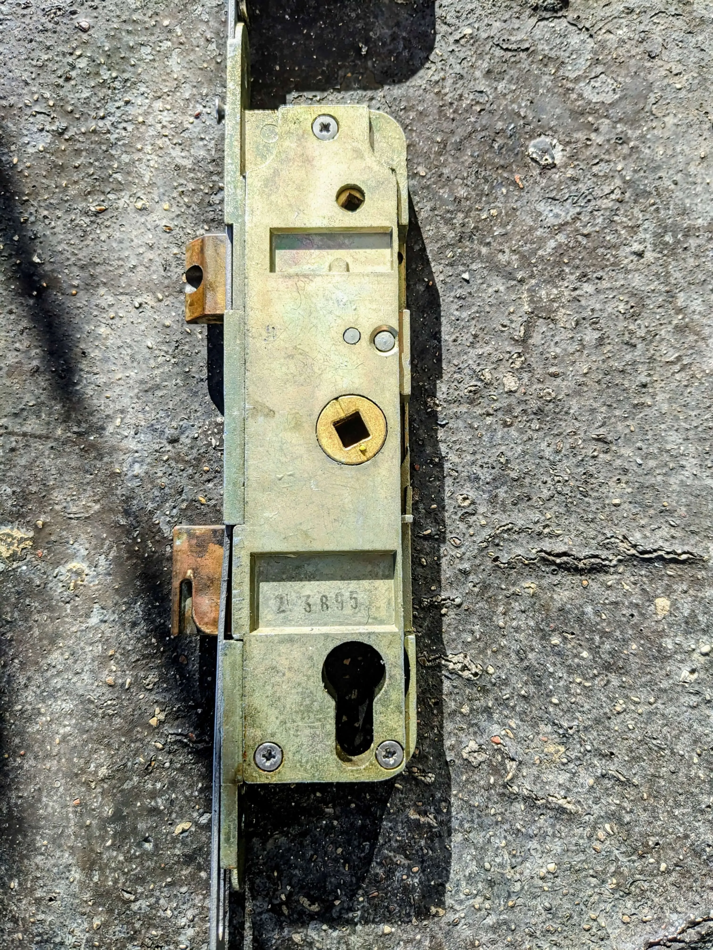 image 8